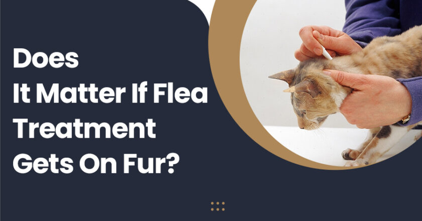 Does It Matter If Flea Treatment Gets On Fur?