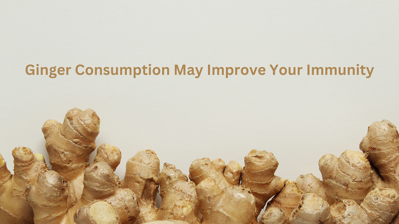 Ginger Consumption May Improve Your Immunity