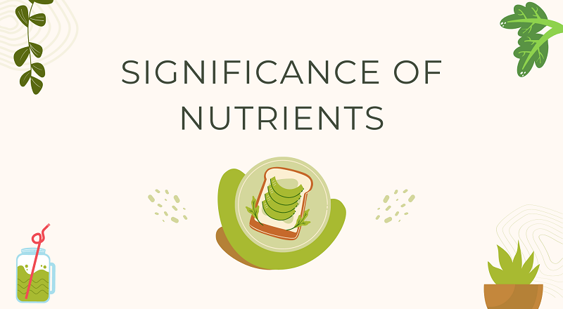 Significance of Nutrients for a solid way of life