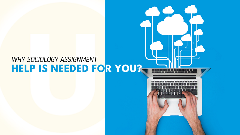 Why Sociology Assignment Help is Needed for You