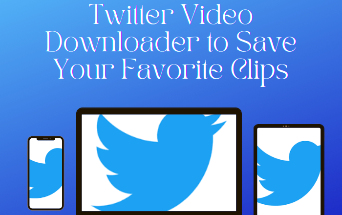 Twitter Video Downloader to Save Your Favorite Clips