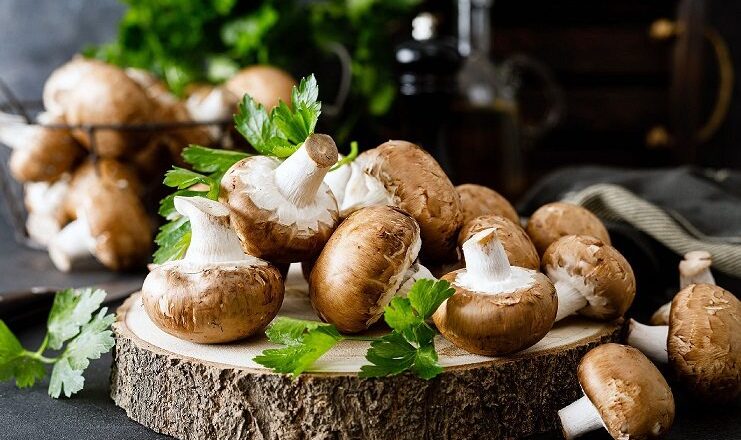Mushrooms have many health benefits